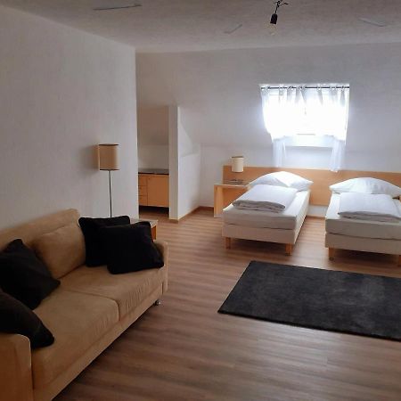 Apartment City Metzingen Reutlingen Extérieur photo